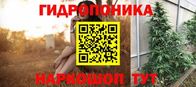соль ск Будённовск