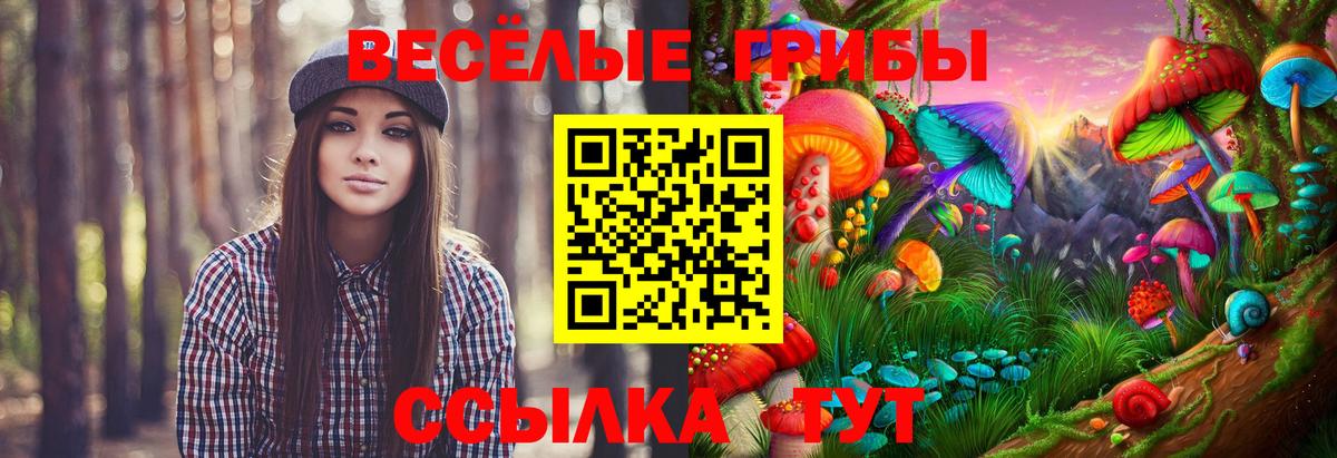 Галлюциногенные грибы Psilocybe  Вход с VPN  Улан-Удэ 